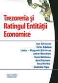 Trezoreria si ratingul entitatii Economice