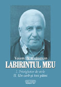 Labirintul meu