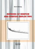 Methods of Newton and Newton-Krylov Type