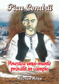 Picu Condrii, povestea unui munte pravalit in campie